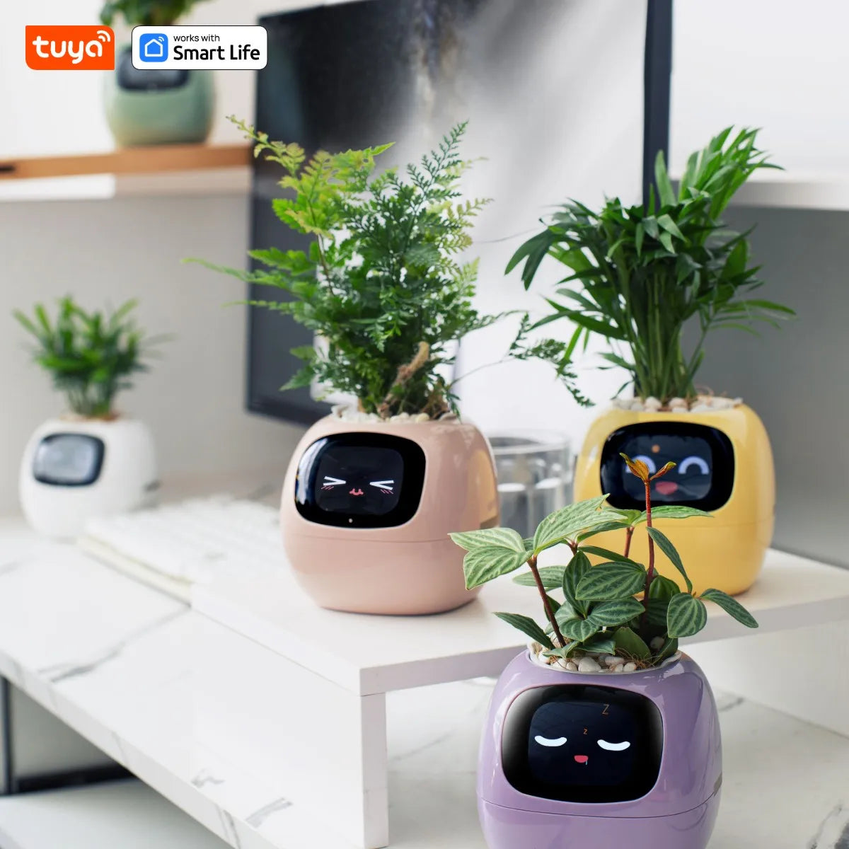 Solvly™ - Ivy Tuya Smart Planter
