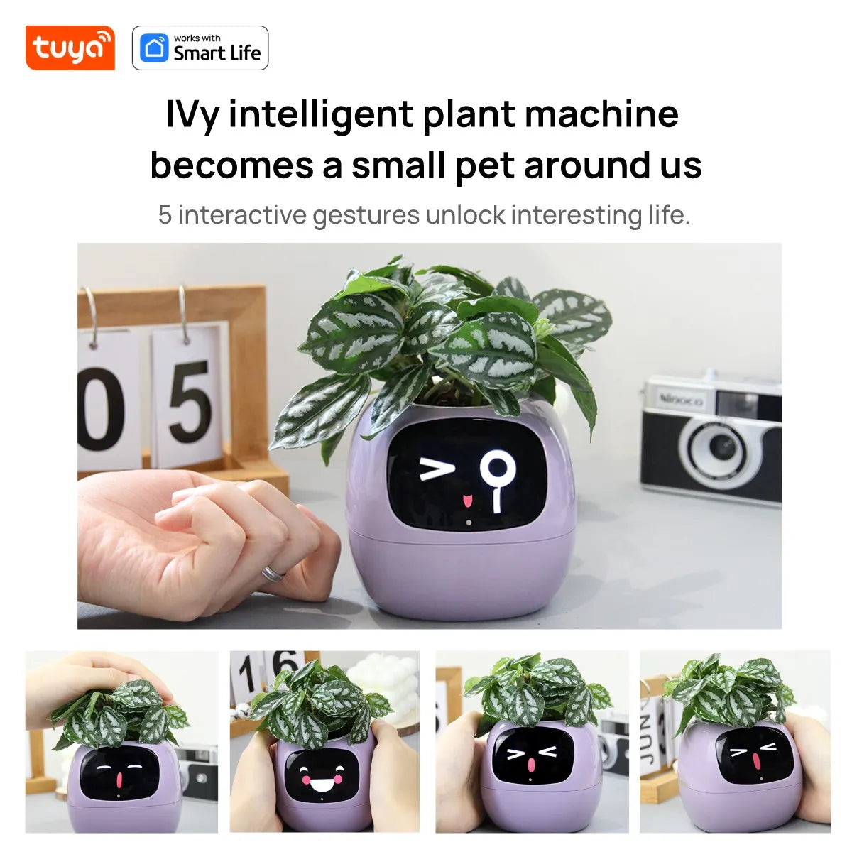 Solvly™ - Ivy Tuya Smart Planter