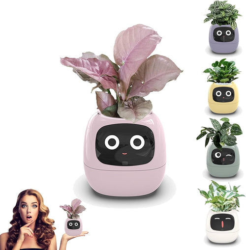 Solvly™ - Ivy Tuya Smart Planter