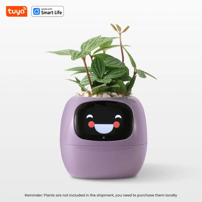 Solvly™ - Ivy Tuya Smart Planter