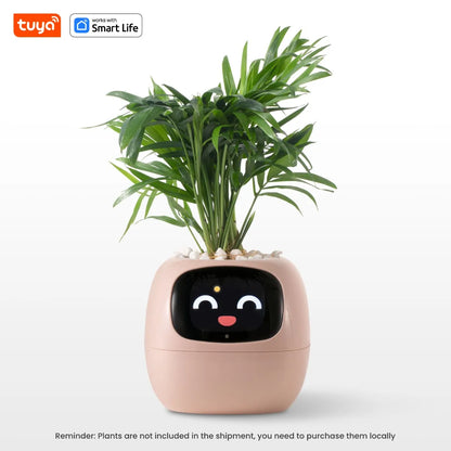 Solvly™ - Ivy Tuya Smart Planter