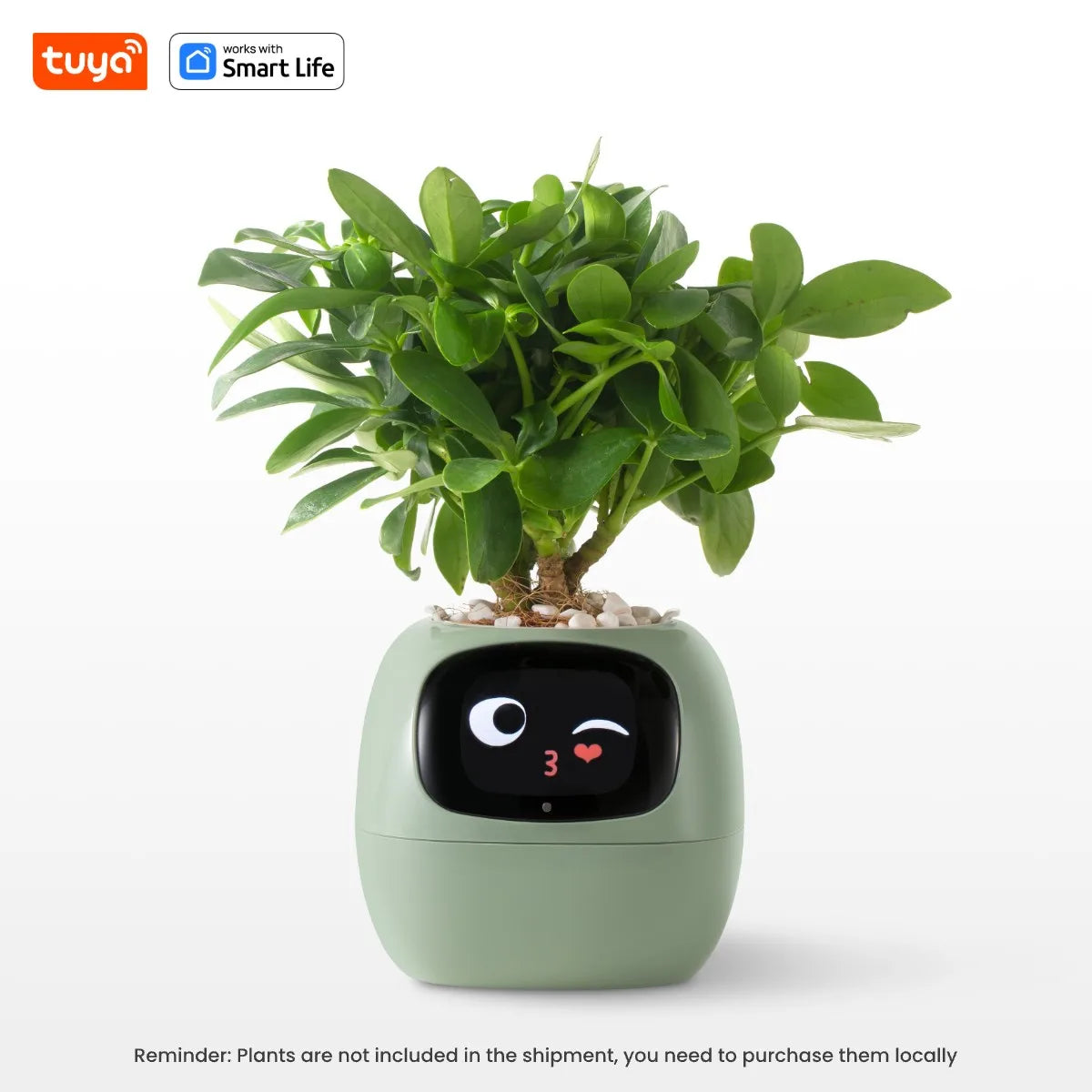 Solvly™ - Ivy Tuya Smart Planter
