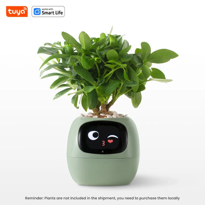 Solvly™ - Ivy Tuya Smart Planter