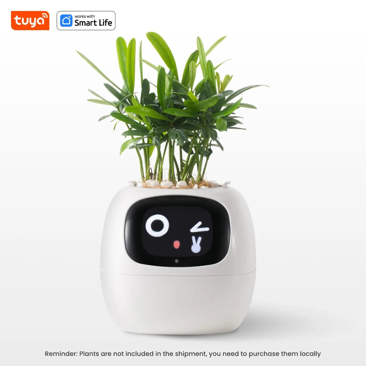 Solvly™ - Ivy Tuya Smart Planter