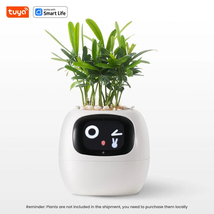 Solvly™ - Ivy Tuya Smart Planter